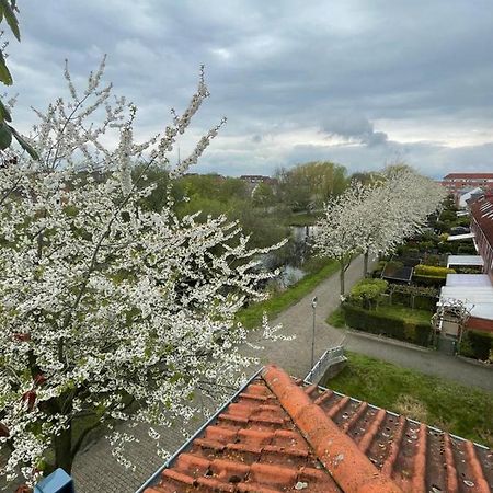 Grosszugige Wohnung In Findorff 不莱梅 外观 照片